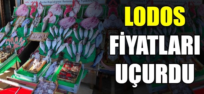 Lodos balık fiyatlarını uçurdu