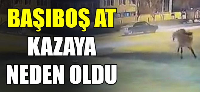 Atlar sürücülere dehşeti yaşattı