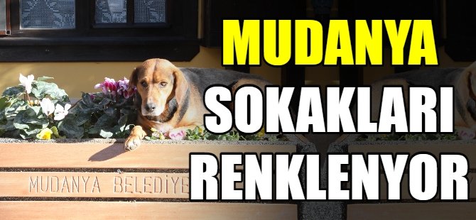 Mudanya sokakları renkleniyor