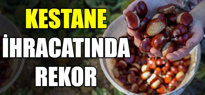 Kestane ihracatında çifte mutluluk