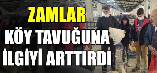 Köy tavuğu satışları arttı