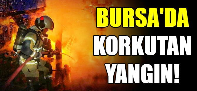 Bursa'da korkutan samanlık yangını