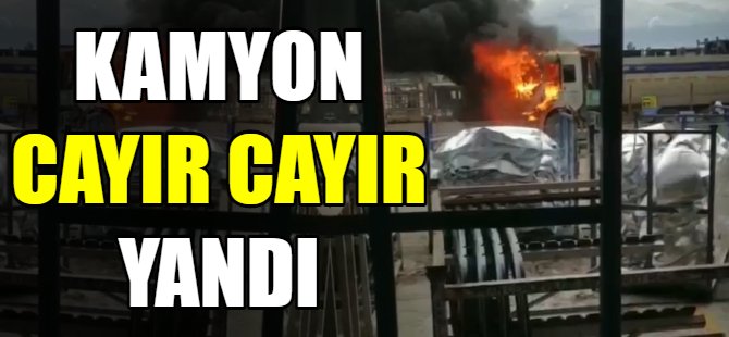 Yük kamyonu alev alev yandı