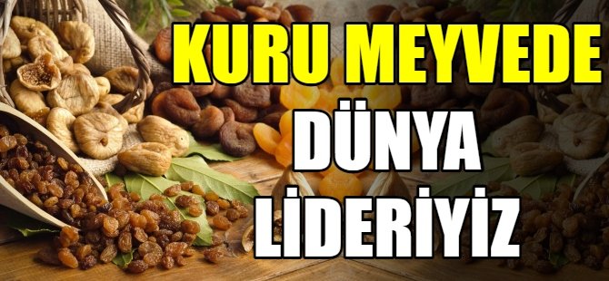 Türkiye kuru meyvede dünya lideri