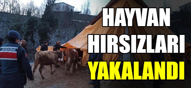 Çaldığı hayvanları satarken yakalandı