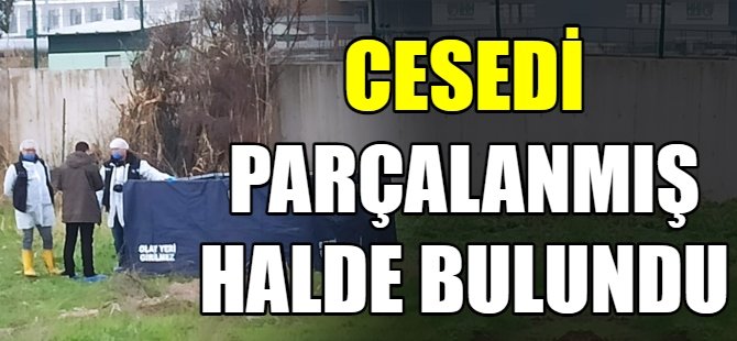 Bursa'da parçalanmış ceset bulundu