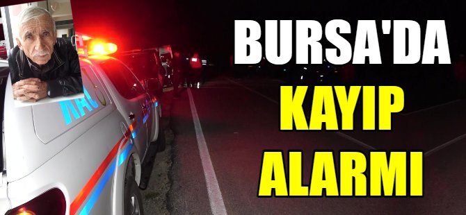 Ormanlık alanda kayıp alarmı