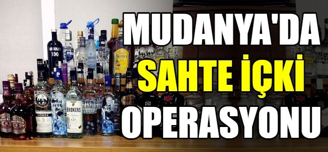 Mudanya'da sahte içki denetimi