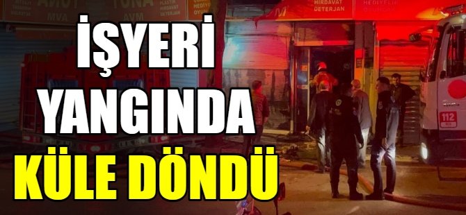 Bursa'da korkutan yangın