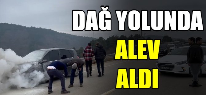 Otomobil alevlere teslim oldu
