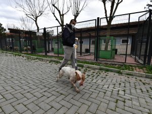 Bursa’da Pitbull operasyonu