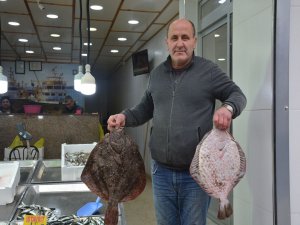 Kalkan balığının kilosu 300 lira