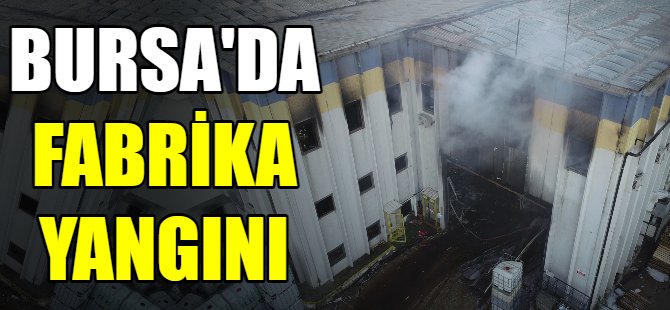 Bursa'da fabrika yangını