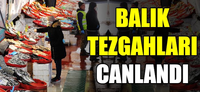 Zamlar balığa ilgiyi arttırdı