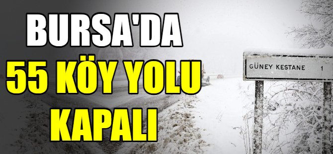 Bursa'da 55 köy yolu kapalı
