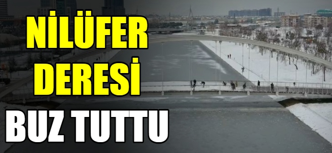Nilüfer deresi buz tuttu
