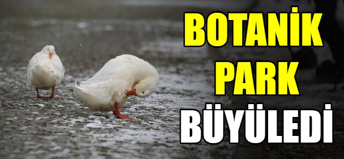 Botanik Park hayvanlara kaldı