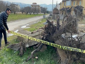 İznik'te tarihi lahit parçalandı