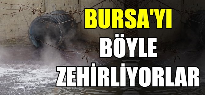 Bursa'da dereler zehir akıyor