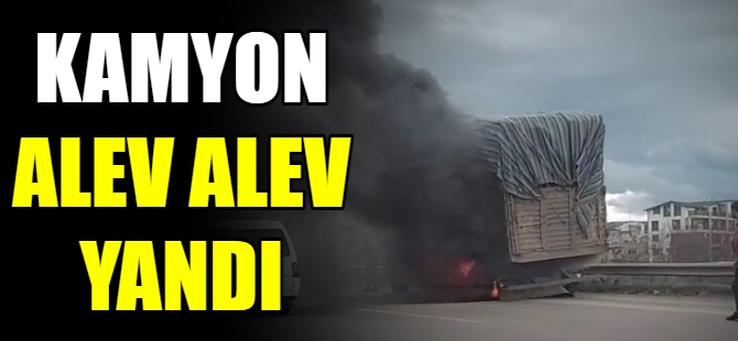 Kamyon alevlere teslim oldu