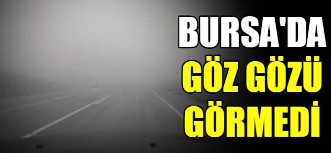 Bursa’da sis ve sağanak etkili oluyor