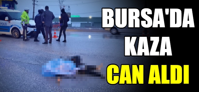 Bursa'da kaza can aldı