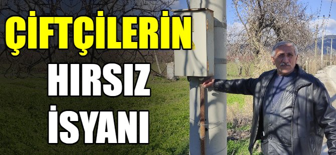 Hırsızlar çiftçilerin kabusu oldu