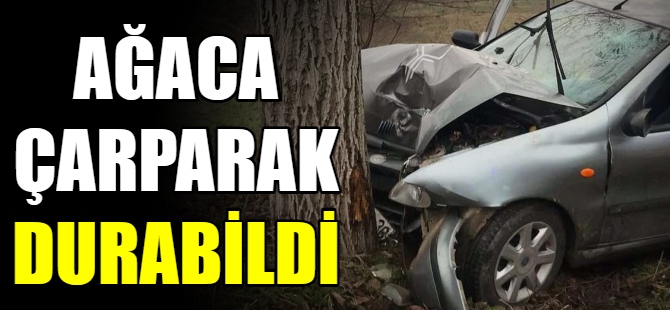 Bursa'da otomobil ağaca çarptı