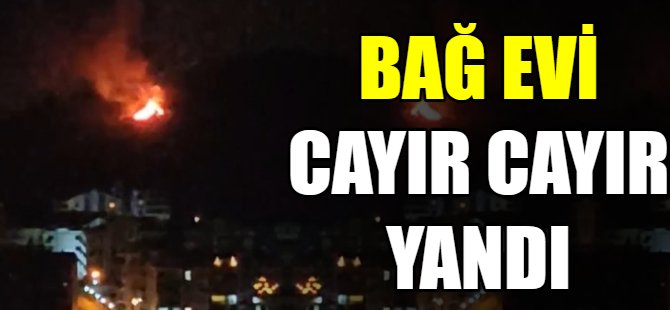Bursa'da bağ evinde yangın