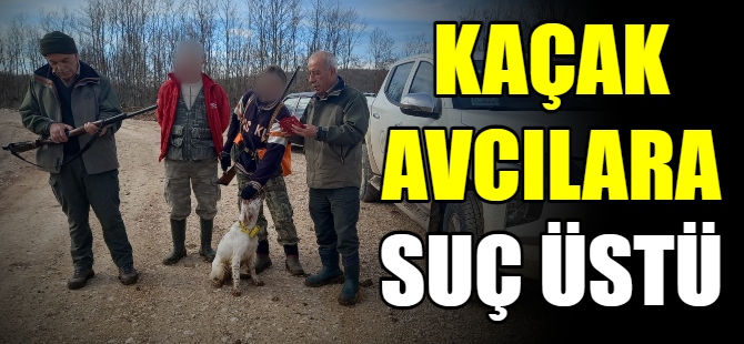 Kaçak avcılara suç üstü