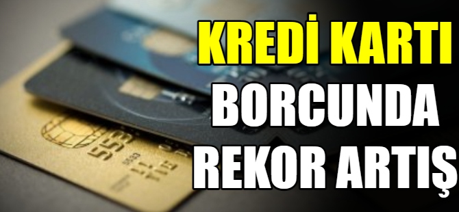 Kredi kartı borçlularının sayısı arttı