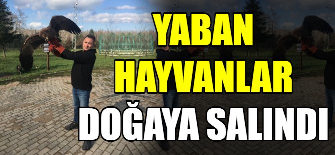 Yaban hayvanları doğaya salındı