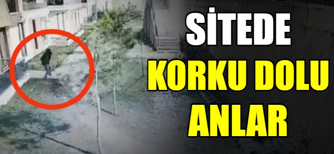 Döner bıçağıyla dehşet saçtı