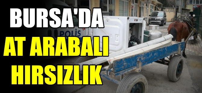 Bursa'da at arabasıyla hırsızlık