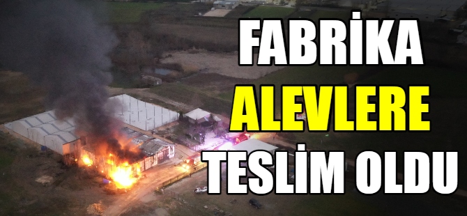 Bursa'da fabrikada yangın!