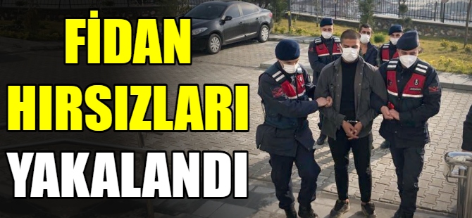 JASAT'dan hırsızlara suçüstü