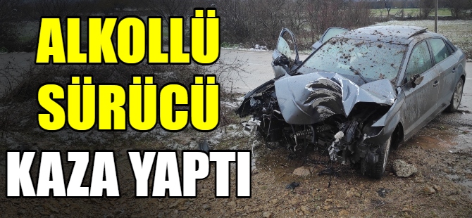 Alkollü sürücüsü direğe çarptı