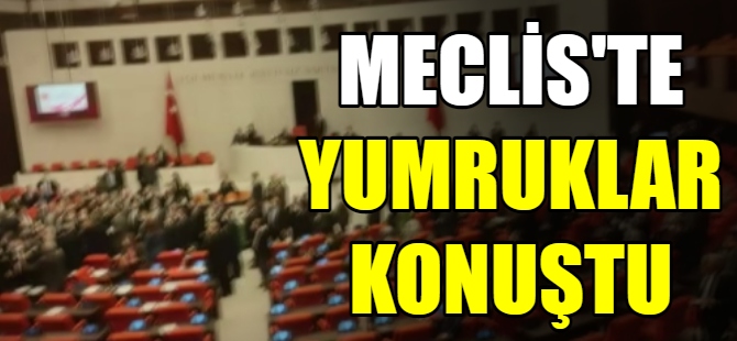 Meclis'te yumruklar konuştu