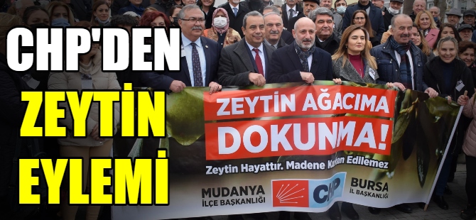 ''Zeytin ağacıma dokunma''