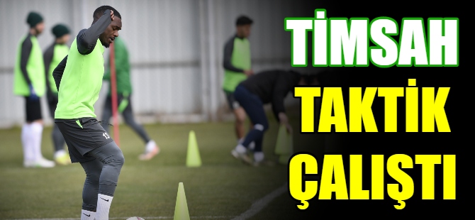 Bursaspor taktik çalıştı