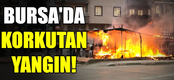 Bursa'da korkutan yangın!