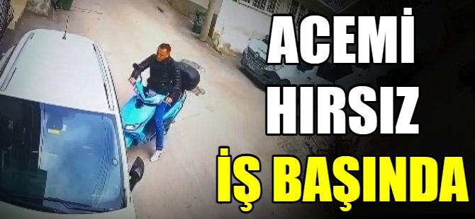 Acemi hırsız iş başında