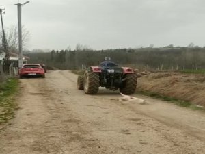 Köpek katiline suç duyurusu
