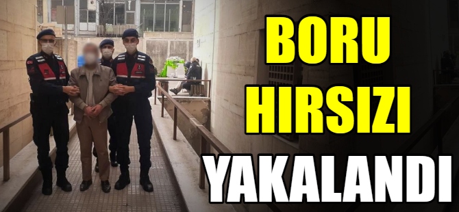 Boru hırsızı yakalandı
