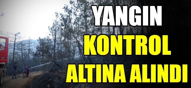 Orman yangını kontrol altına alındı