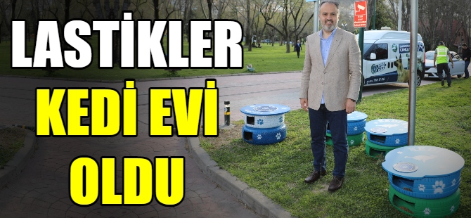 Eski lastikler kedi evi oldu