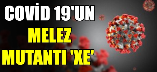 Covıd-19'un Melez mutantı 'XE'