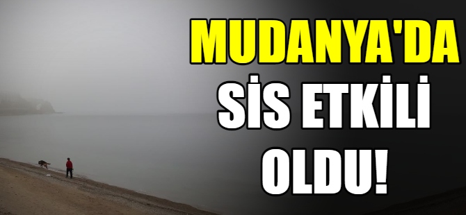 Mudanya'da sis etkili oldu