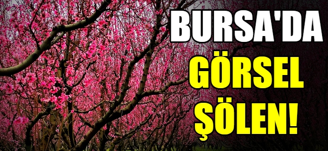Bursa'da görsel şölen!