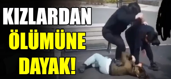 Kızlardan yumruklu kavga